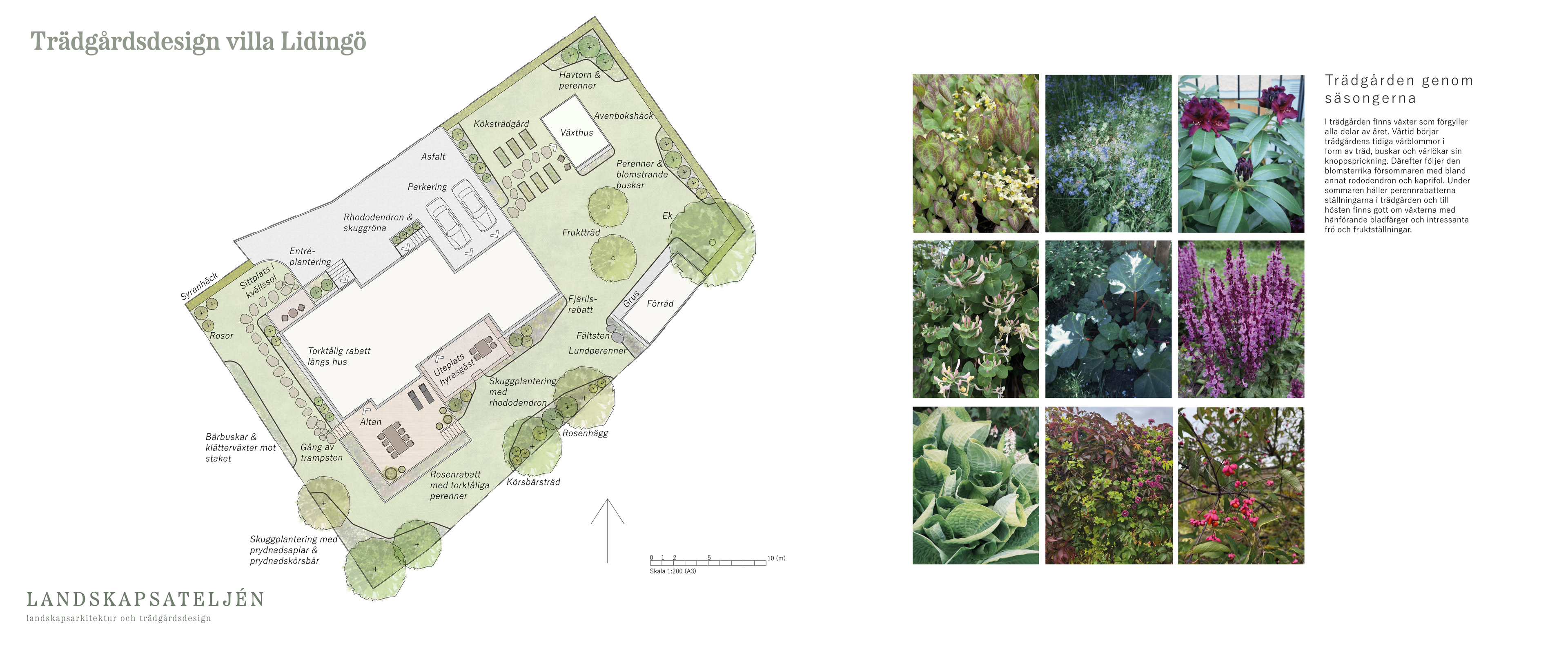 Trädgårdsdesign för villaträdgård på Lidingö